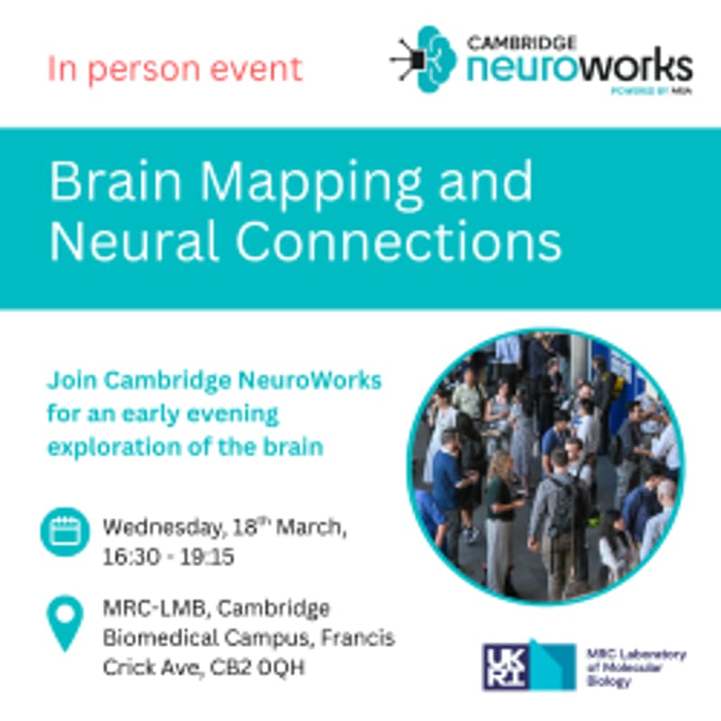 Cover Image for Brain Mapping & Neural Connections