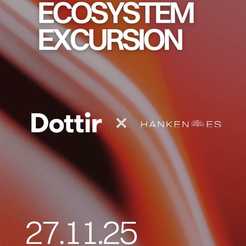 Cover Image for Ecosystem Excursion: Dottir Attorneys