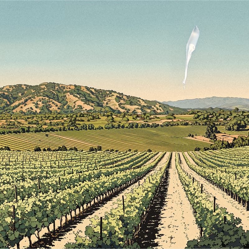 Cover Image for Nicholson Ranch Winery x WindBorne: Celebrating Wine and Weather