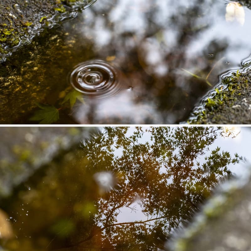 Cover Image for Mindful Photography Masterclass: See Differently in Uncertain Times