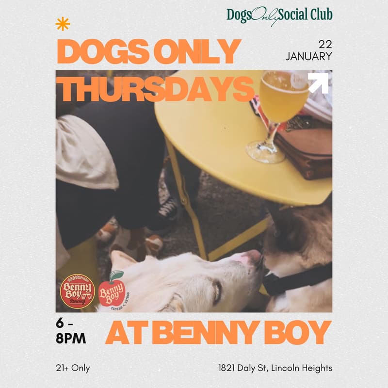 Cover Image for Dogs Only Thursdays at Benny Boy Brewing