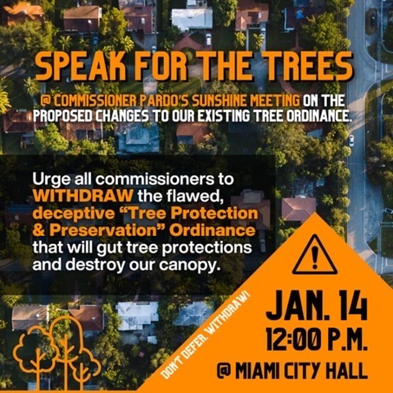 Cover Image for 📣☀️Miami Town Hall On Trees 🌴🏡
