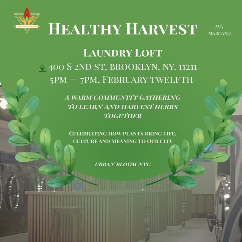 Cover Image for Healthy Harvest 🌱