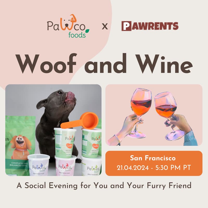 Cover Image for Woof and wine - Sustainable dog food tasting
