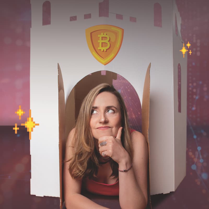 Cover Image for The Crypto Castle