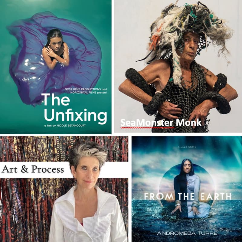 Cover Image for Hot Climate Art Films: Artists on the Environmental Crisis
