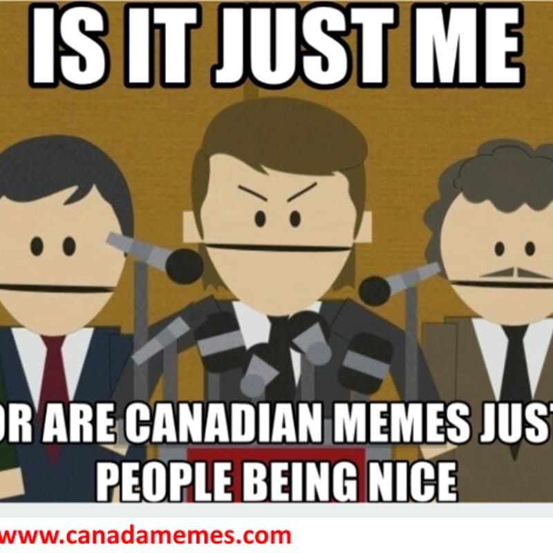 Cover Image for Canadians Anonymous (ping pong room)