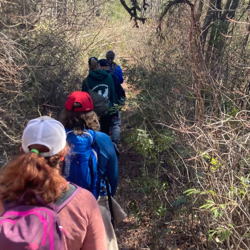Cover Image for Spring Ephemeral Walk - Vermont