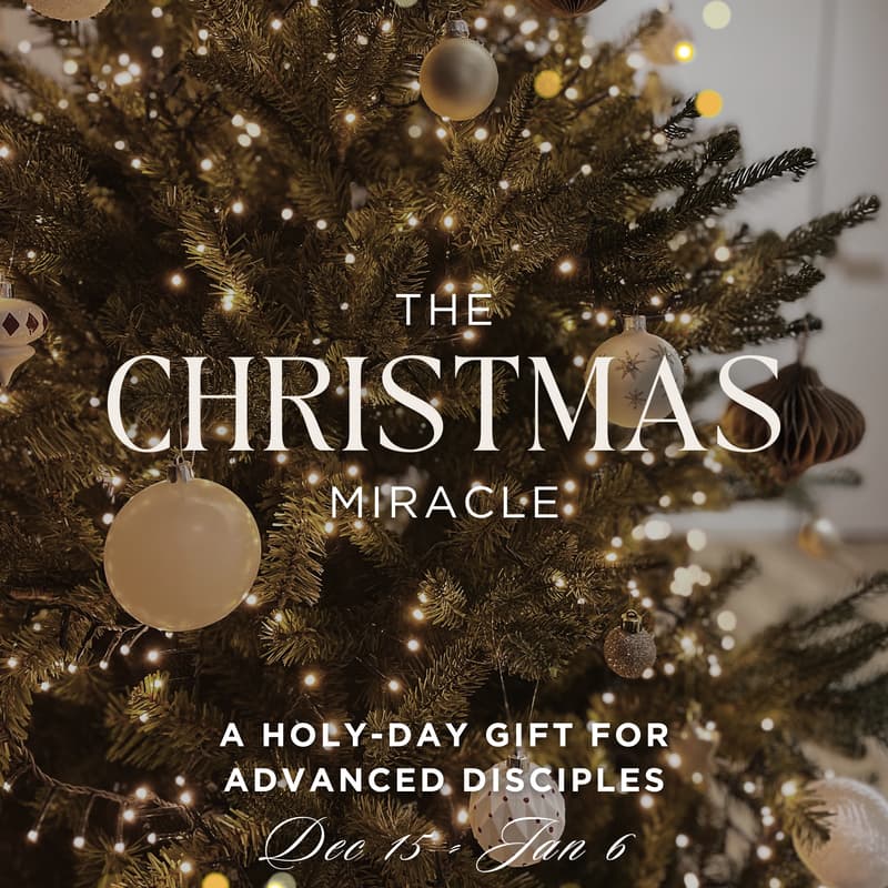 Cover Image for The Christmas Miracle