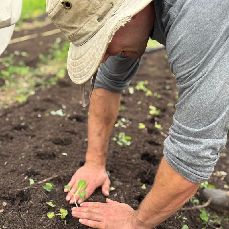 Cover Image for Community Farming Day - Growing Good Saturday Series