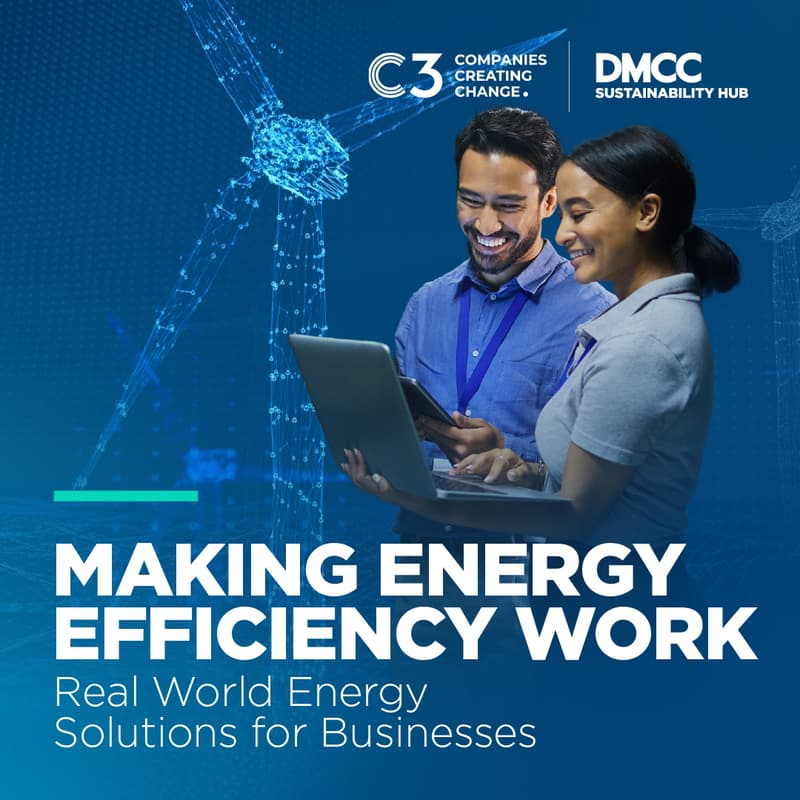 Cover Image for Making Energy Efficiency Work: Real World Energy Solutions for Businesses