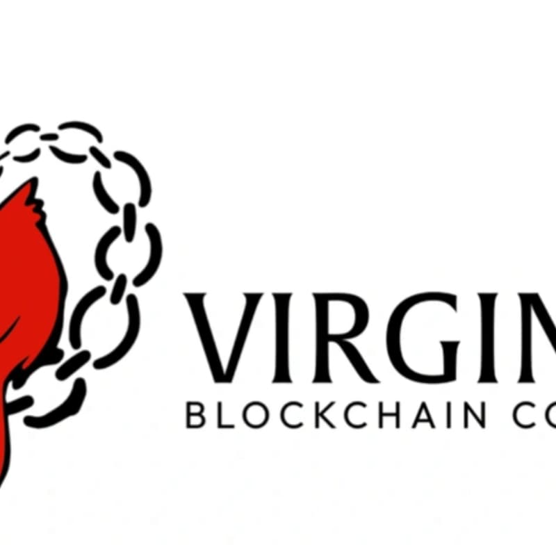 Cover Image for Virginia Blockchain Annual Fundraiser and Benefit!!
