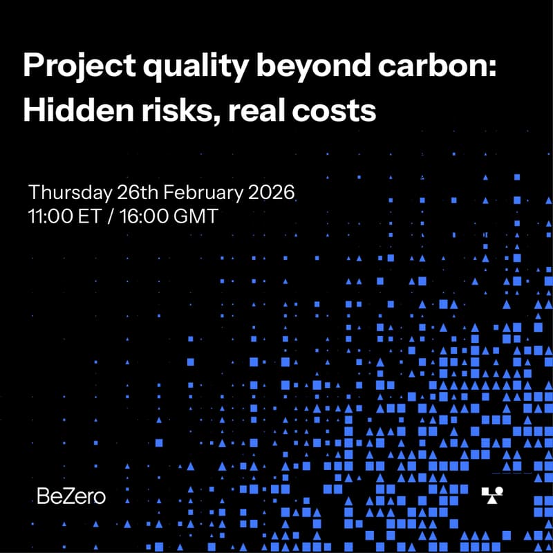 Cover Image for Project quality beyond carbon: Hidden risks, real costs