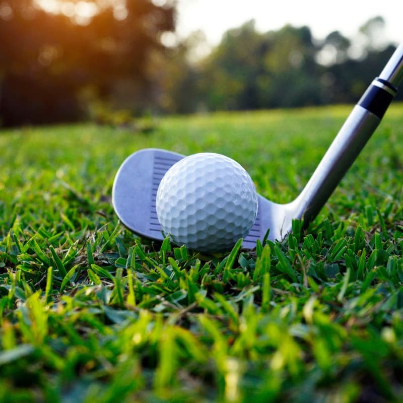 Cover Image for Cathedral Wealth Charity Golf Championship