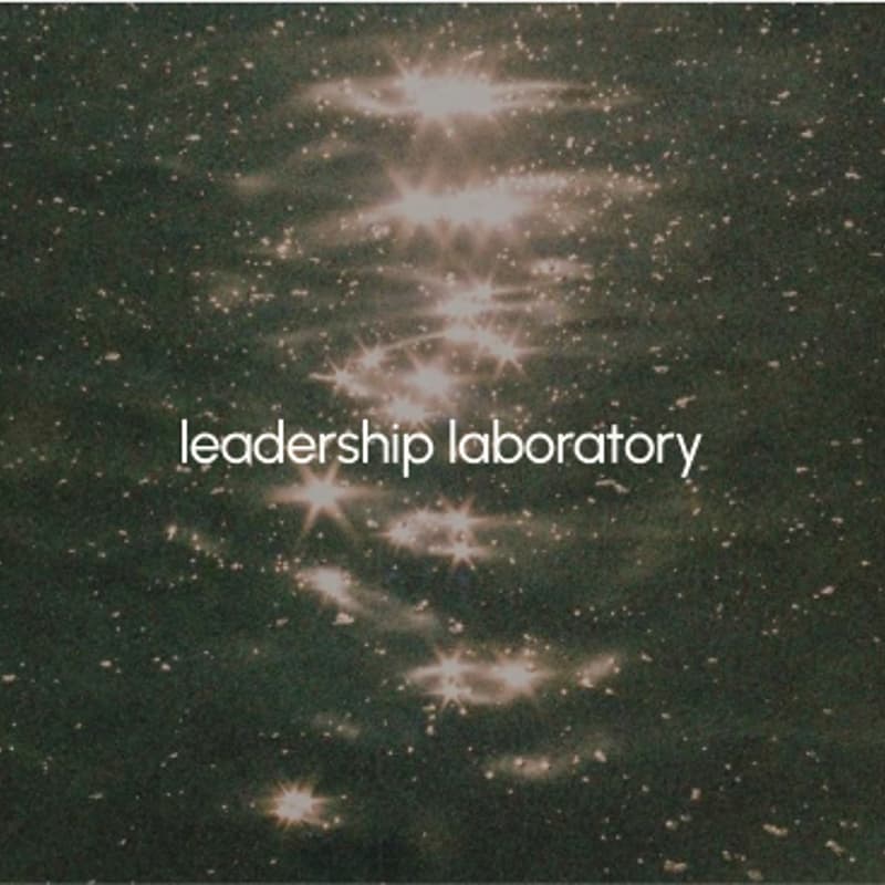 Cover Image for leadership laboratory: new frontiers of adult development workshop