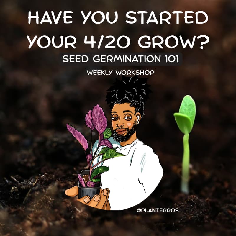Cover Image for Planter Robs Lounge-Germinating for 4/20