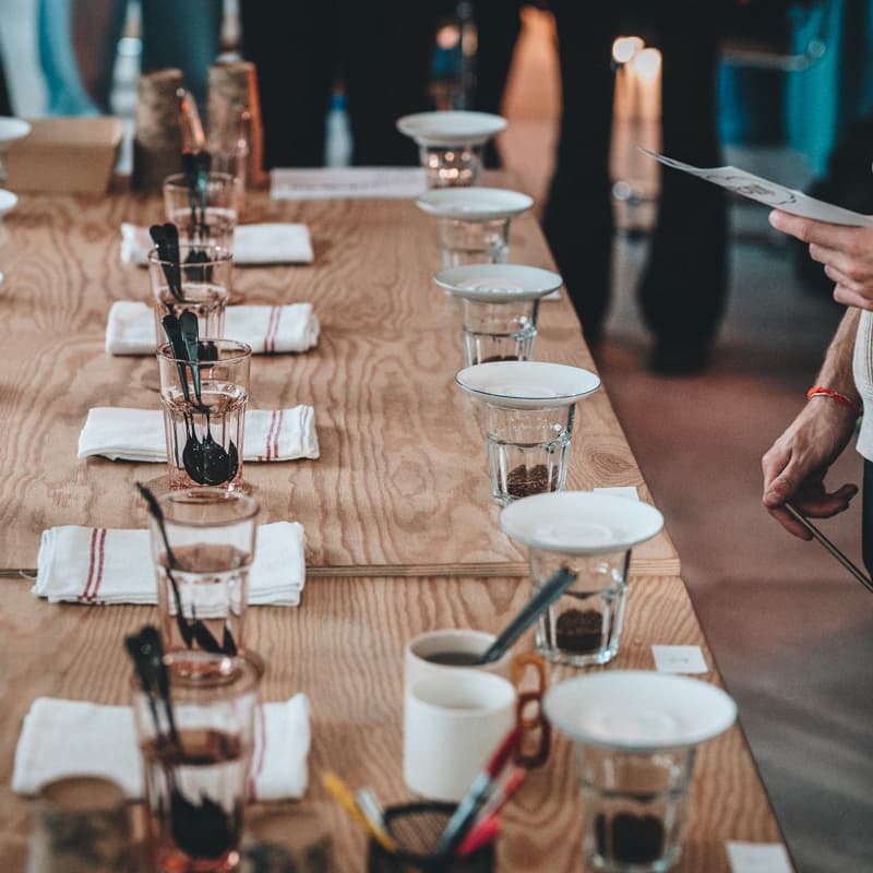 Cover Image for cupping w kompo