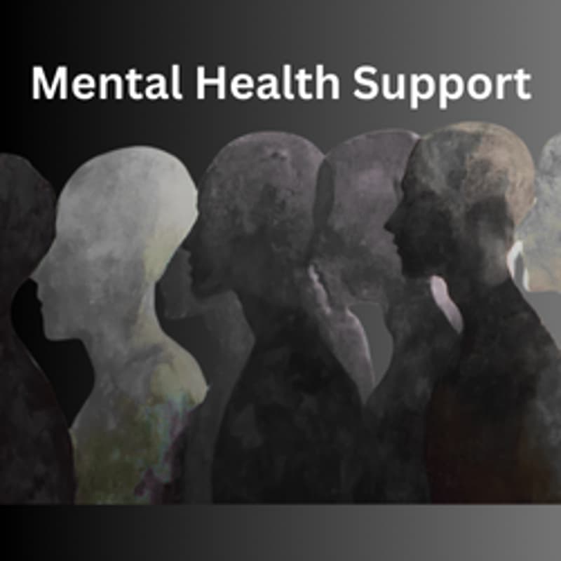 Cover Image for Mental Health Support Grp