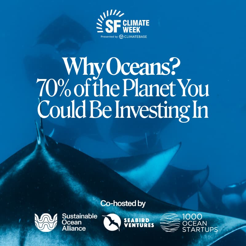 Cover Image for Why Oceans? 70% of the Planet You Could Be Investing In
