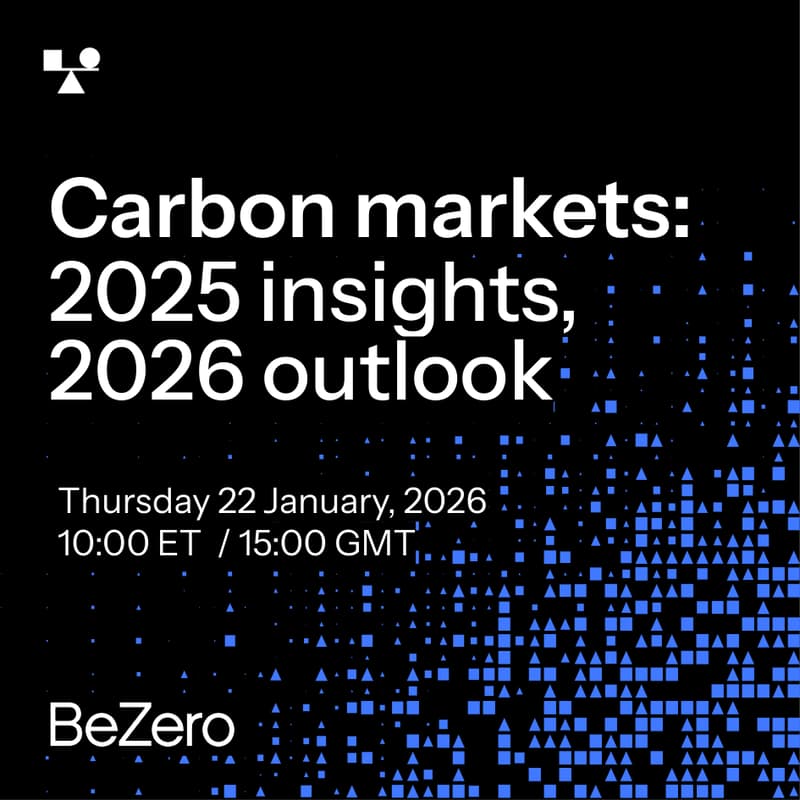 Cover Image for Carbon Markets: 2025 insights, 2026 outlook