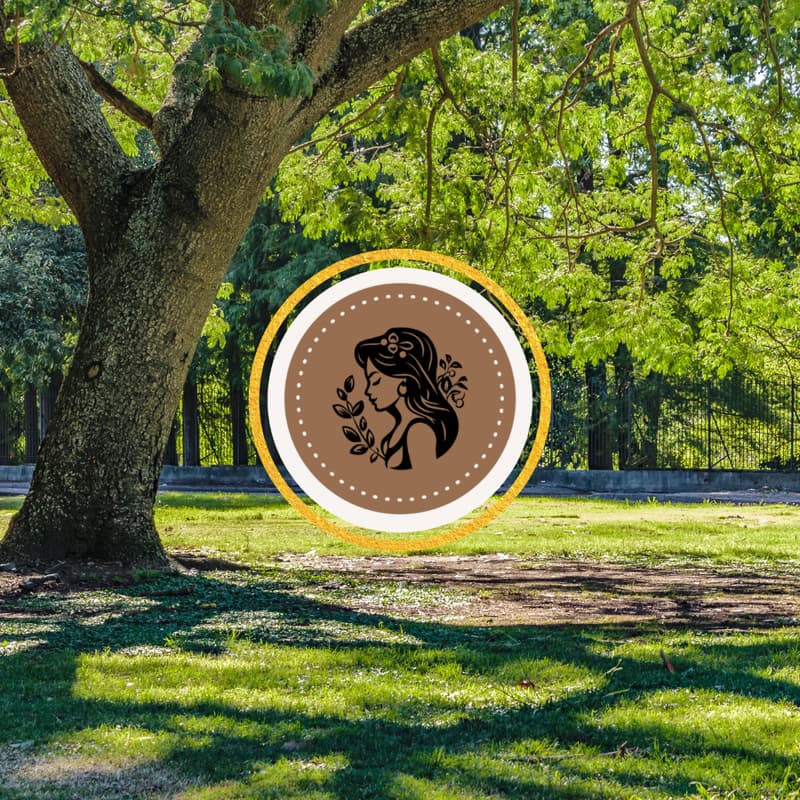 Cover Image for Ladies Do Business: Business Walk & Talk | Amsterdam