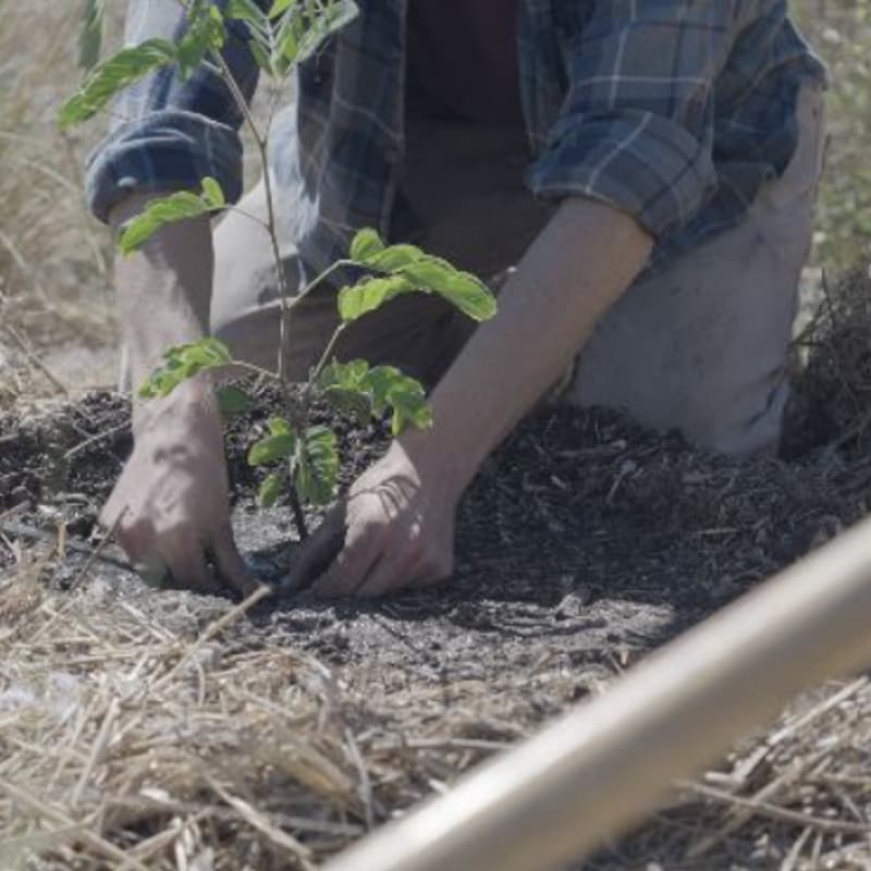 Cover Image for Forest Gardening Weekend