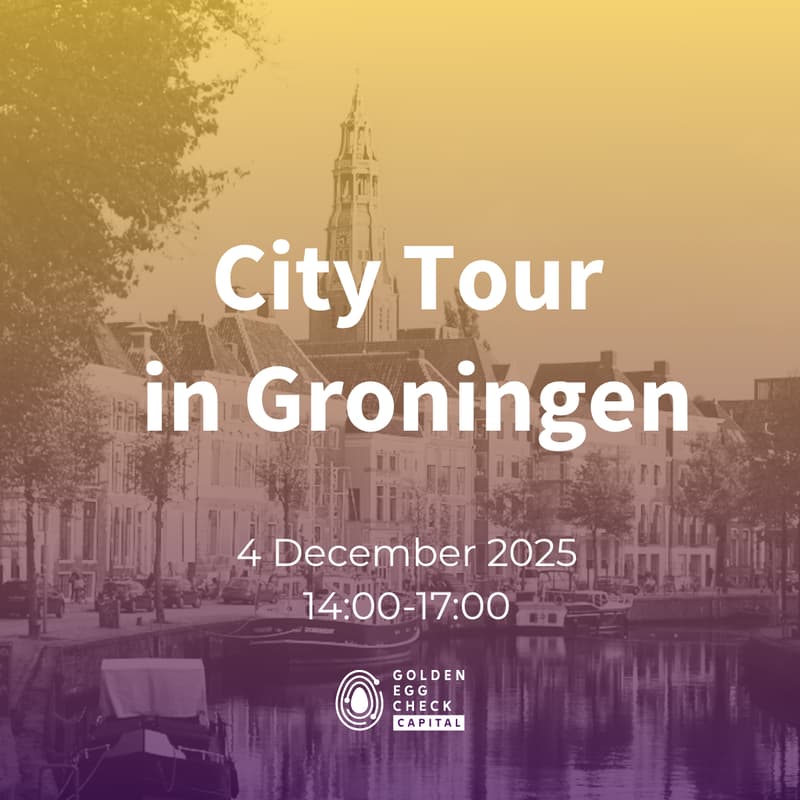 Cover Image for City Tour in Groningen - Golden Egg Check
