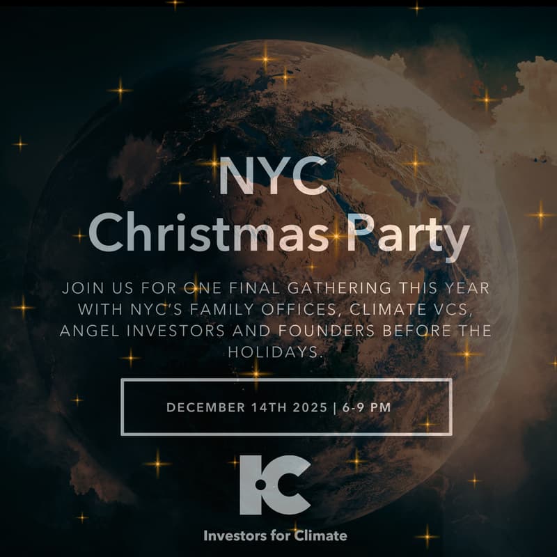 Cover Image for NYC Christmas Party