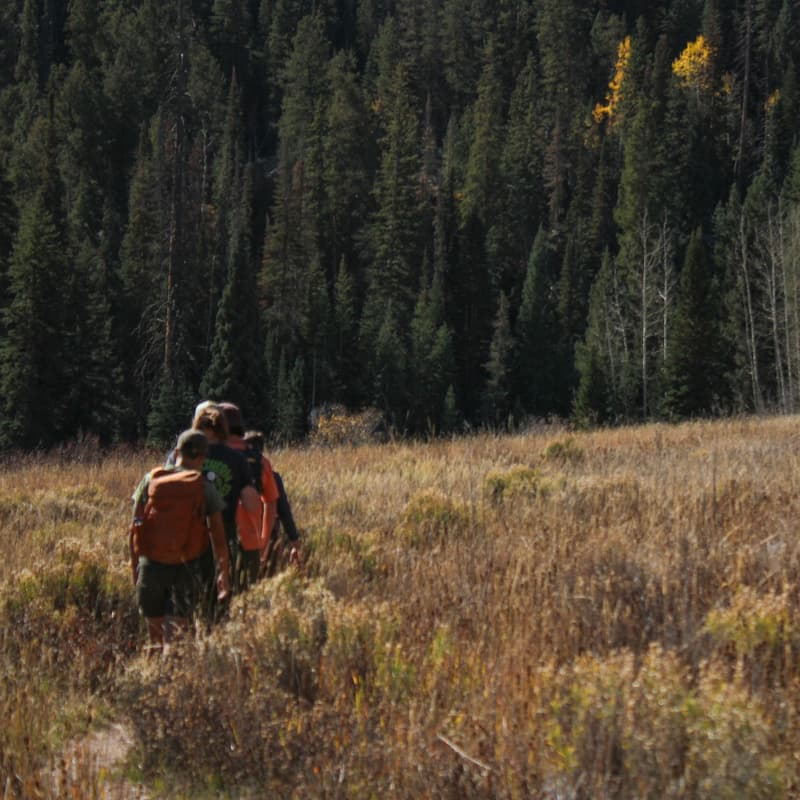 Cover Image for Golden Hour Foliage Hike + Viewing - Central Vermont
