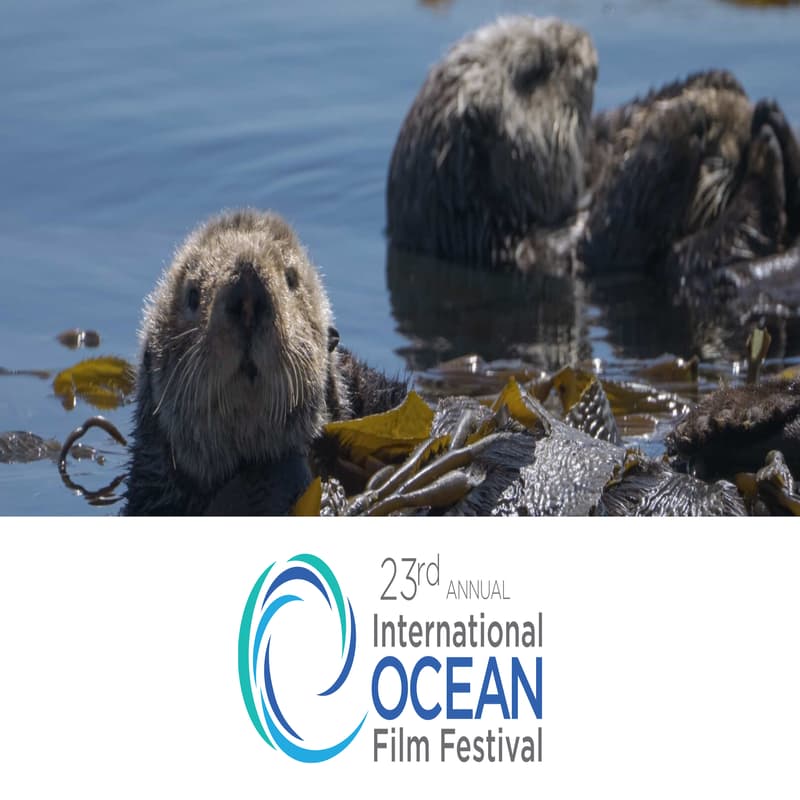 Cover Image for 🌐 Changing Climates and Our Oceans: Impactful Storytelling through Film