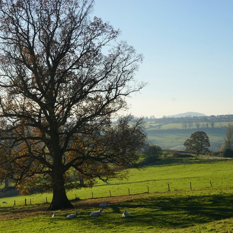 Cover Image for UK, Business Delegation (Agritech)
