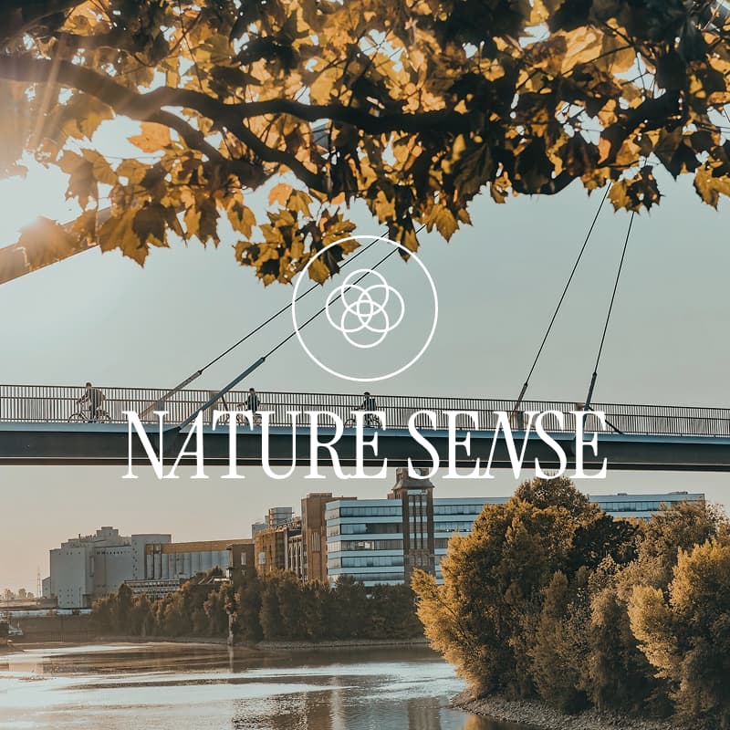 Cover Image for Member Day - Nature Sense