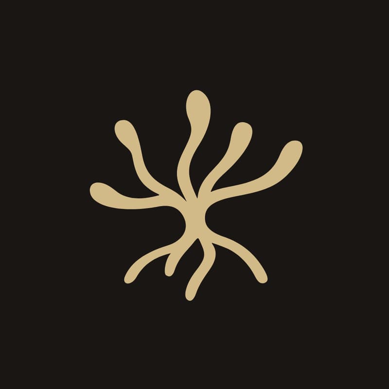 Cover Image for An experiment in collective intelligence for AI alignment