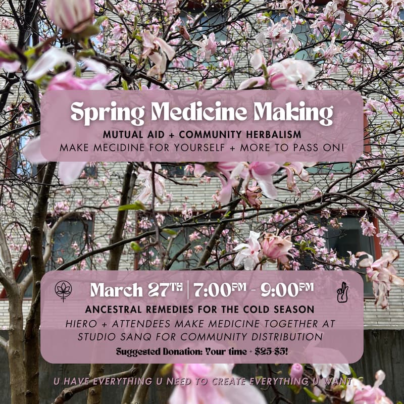 Cover Image for Spring Medicine Making