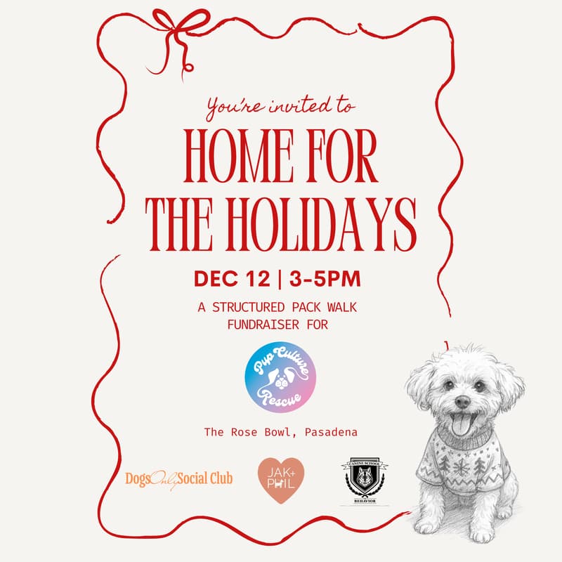 Cover Image for Home for the Holidays Pack Walk