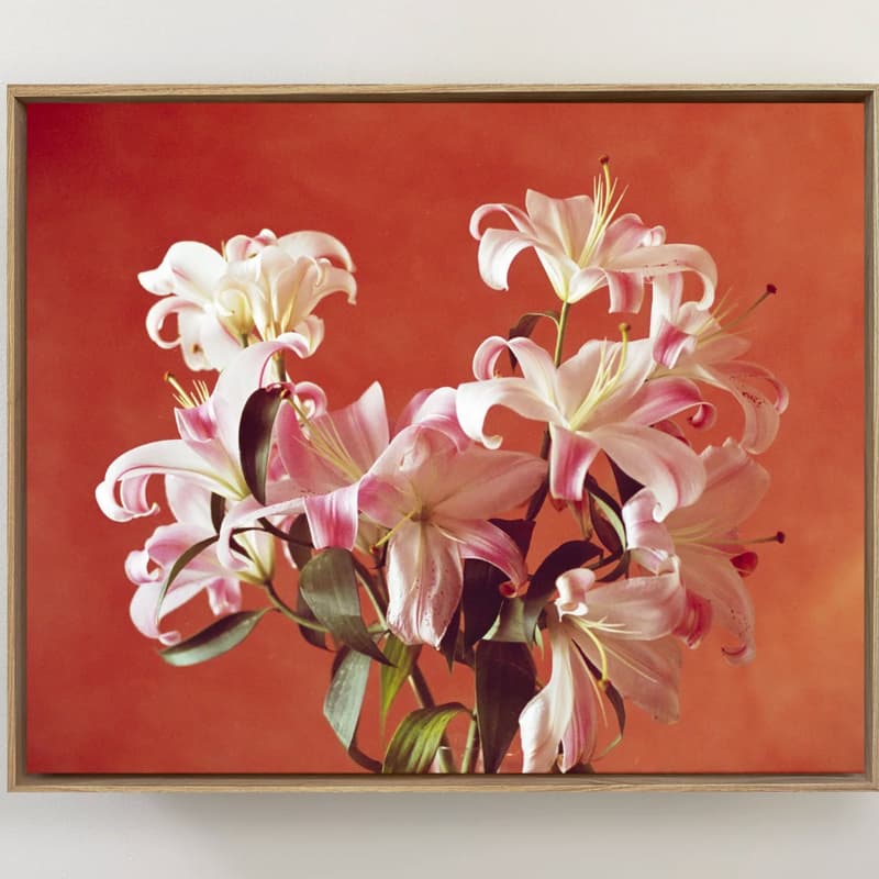 Cover Image for RSVP: An Evening with Isabel Okoro