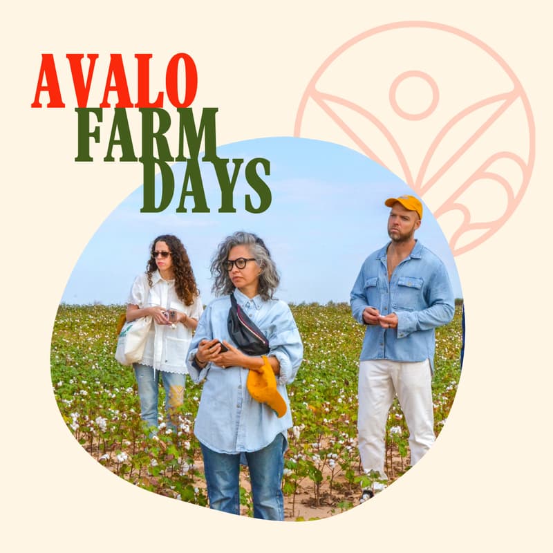 Cover Image for Avalo Farm Days - 2026