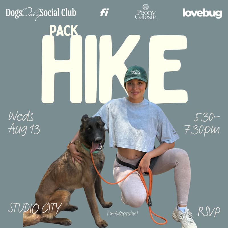 Cover Image for August Pack Hike Fundraiser