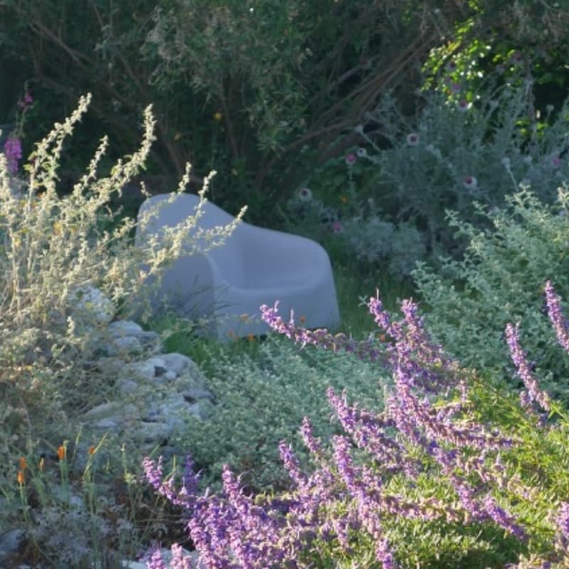 Cover Image for The Watershed Approach to Hillside Landscaping: A Free Workshop For Native Gardeners of Laurel Canyon and Beyond