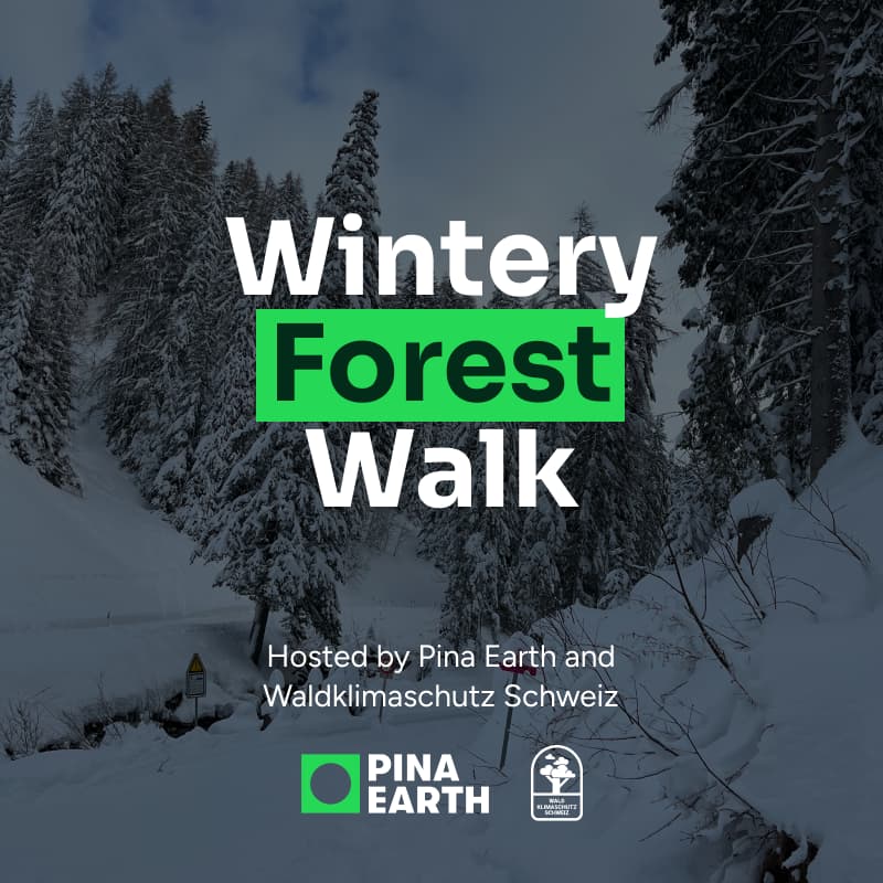 Cover Image for Forest Walk with Pina Earth