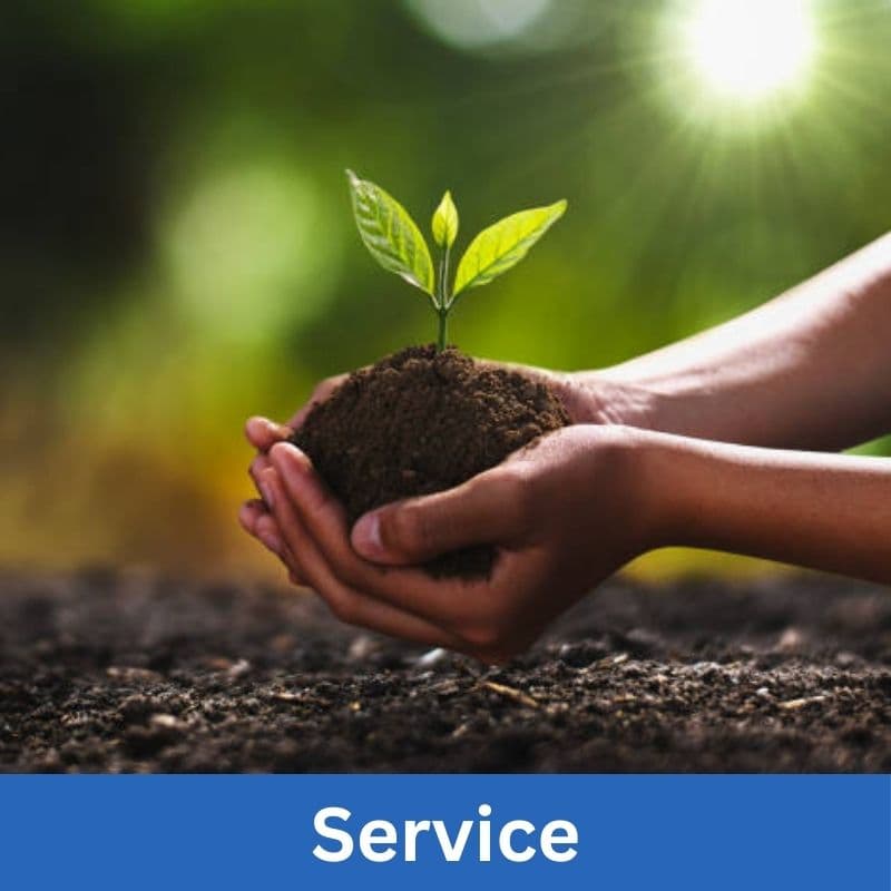 Cover Image for Ronald McDonald House