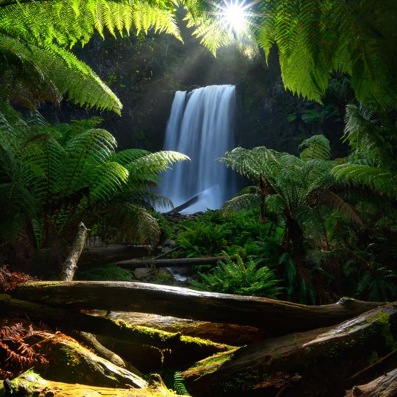 Cover Image for Chasing Waterfalls Workshop