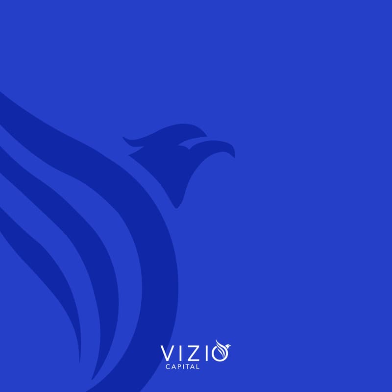 Cover Image for Présentation de VIZIO CAPITAL