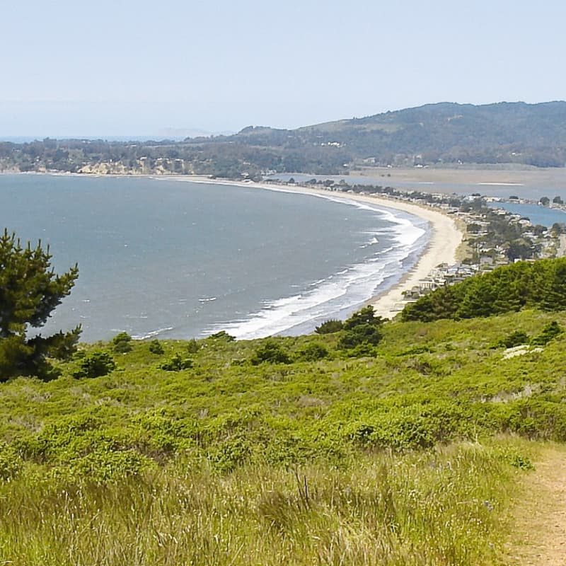 Cover Image for Dipsea Trail hike