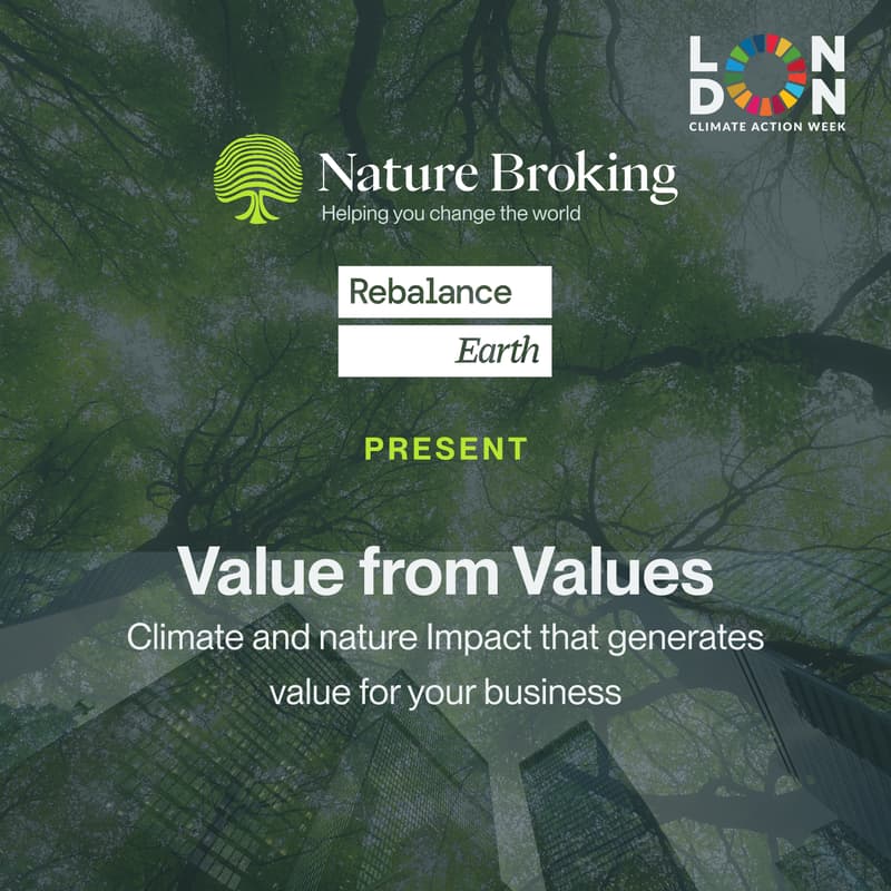 Cover Image for Value from Values: Climate and nature impact that generates value for your business