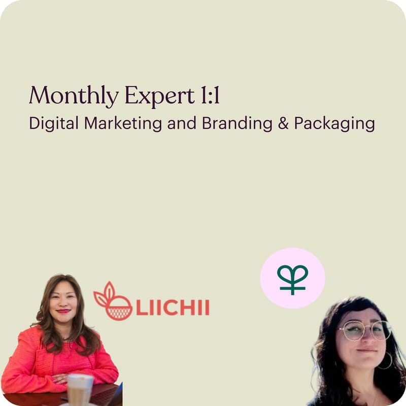Cover Image for Expert 1:1