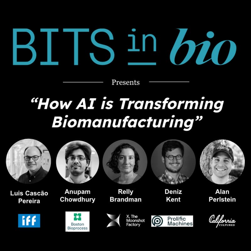 Cover Image for How AI is Transforming Biomanufacturing