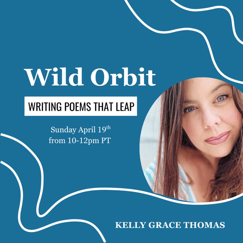 Cover Image for Wild Orbit: Writing Poems That Leap