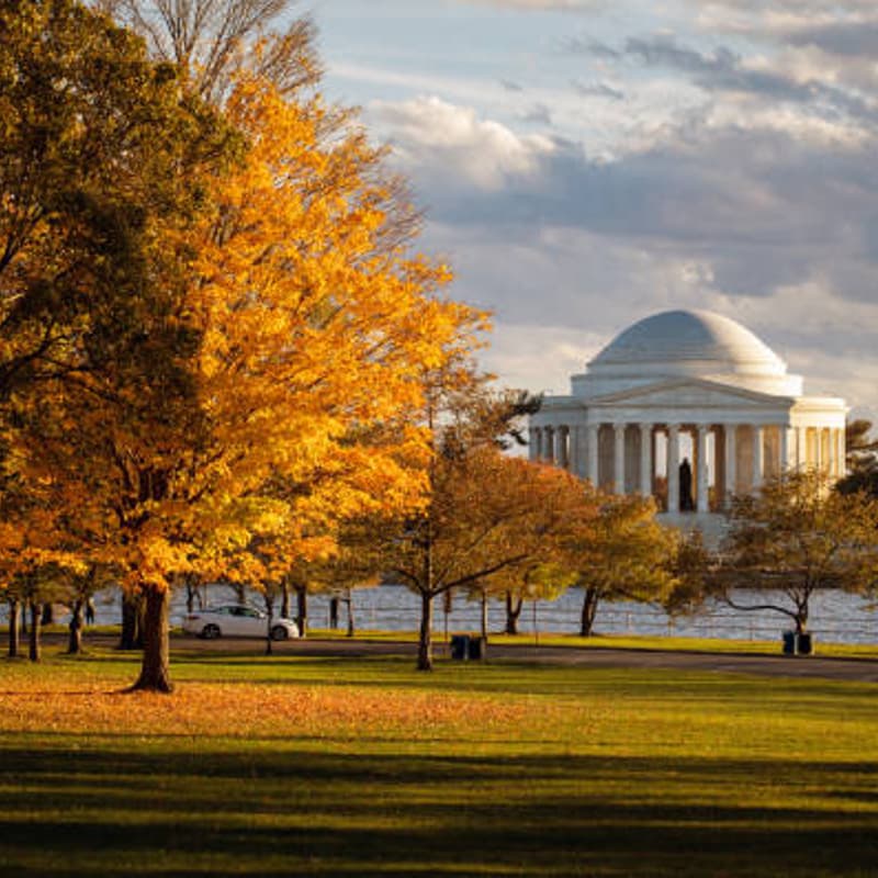 Cover Image for Earth Day Kickball with DOE Alumni and Friends
