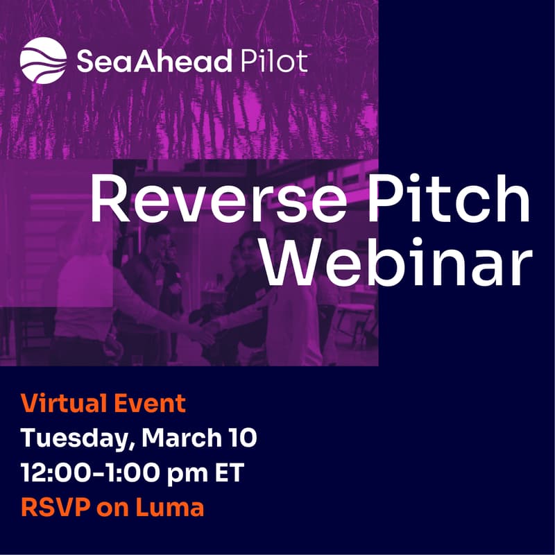 Cover Image for SeaAhead Pilot Reverse Pitch Webinar: Coastal Resilience in New England